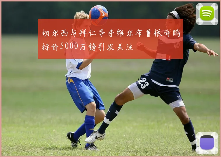 切尔西与拜仁争夺维尔布鲁根海鸥标价5000万镑引发关注