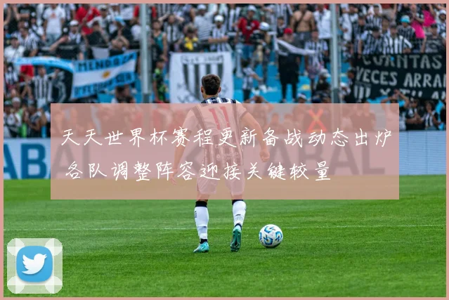 天天世界杯赛程更新备战动态出炉 各队调整阵容迎接关键较量
