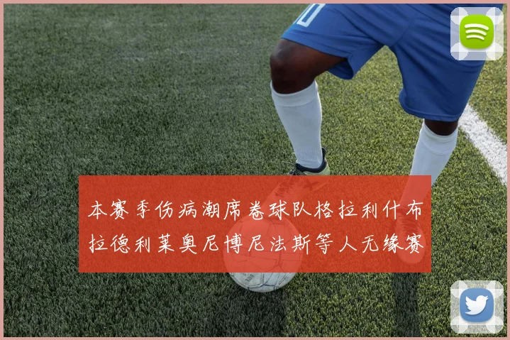 本赛季伤病潮席卷球队格拉利什布拉德利莱奥尼博尼法斯等人无缘赛季余下比赛