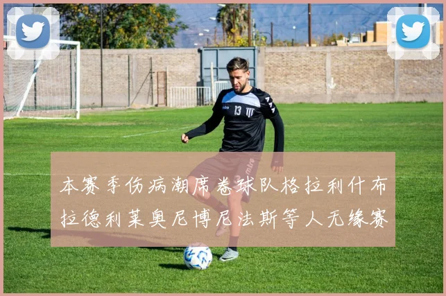 本赛季伤病潮席卷球队格拉利什布拉德利莱奥尼博尼法斯等人无缘赛季余下比赛