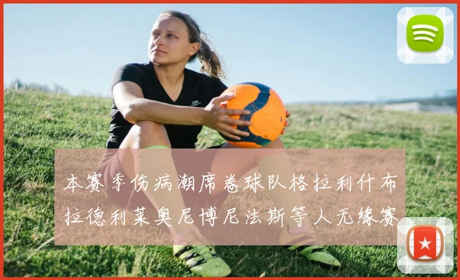 本赛季伤病潮席卷球队格拉利什布拉德利莱奥尼博尼法斯等人无缘赛季余下比赛