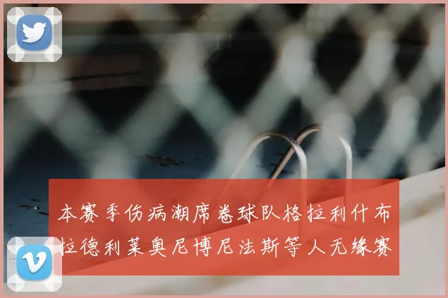 本赛季伤病潮席卷球队格拉利什布拉德利莱奥尼博尼法斯等人无缘赛季余下比赛