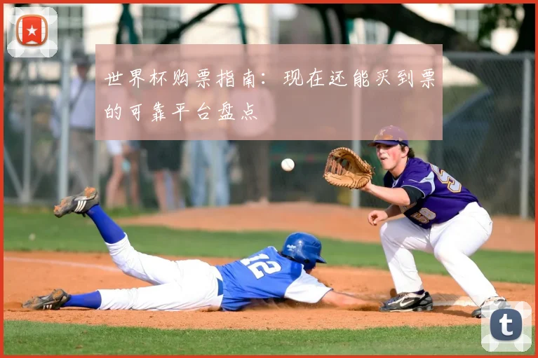 世界杯购票指南:现在还能买到票的可靠平台盘点