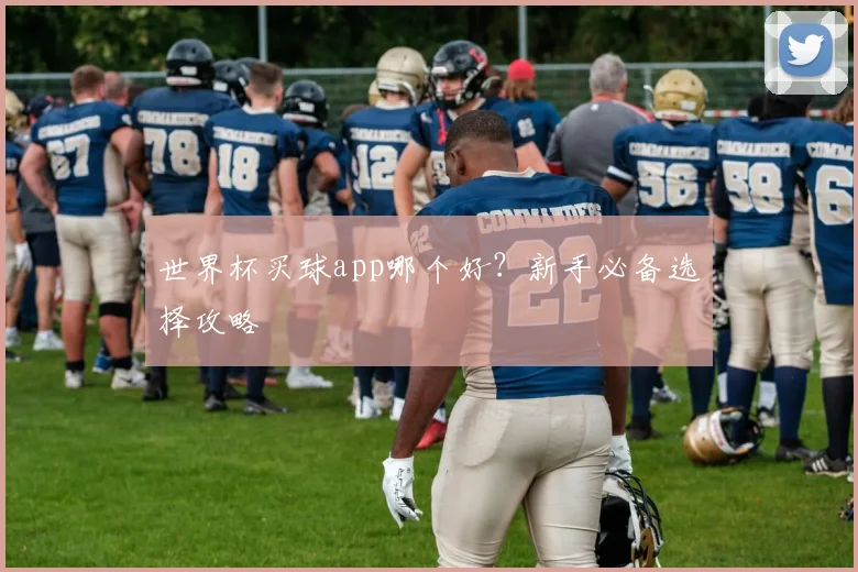 世界杯买球app哪个好?新手必备选择攻略