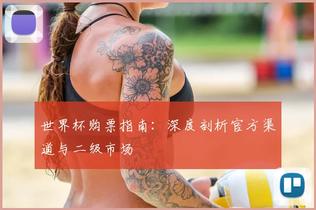 世界杯购票指南：深度剖析官方渠道与二级市场