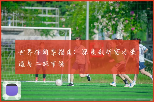 世界杯购票指南:深度剖析官方渠道与二级市场