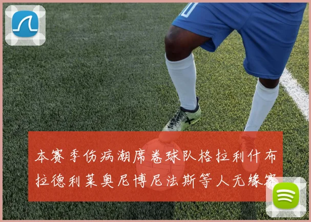 本赛季伤病潮席卷球队格拉利什布拉德利莱奥尼博尼法斯等人无缘赛季余下比赛