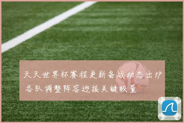 天天世界杯赛程更新备战动态出炉 各队调整阵容迎接关键较量