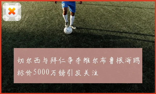 切尔西与拜仁争夺维尔布鲁根海鸥标价5000万镑引发关注