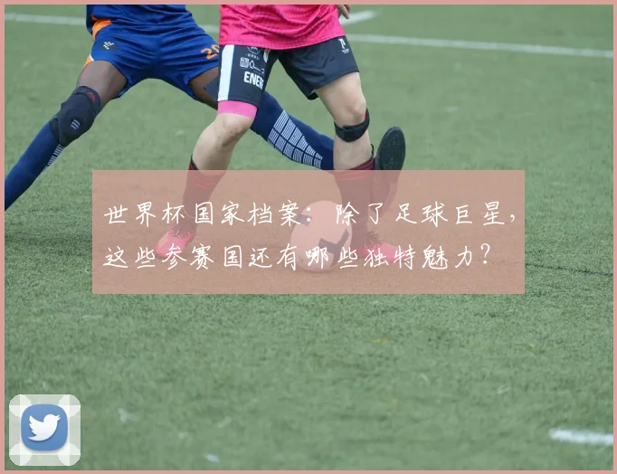 世界杯国家档案：除了足球巨星，这些参赛国还有哪些独特魅力？